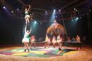 les NoNo font leur cirque 57 * 3504 x 2336 * (3.35MB)